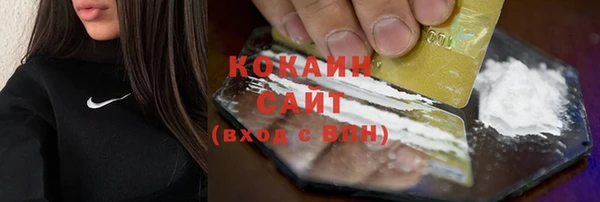 мдпв Домодедово